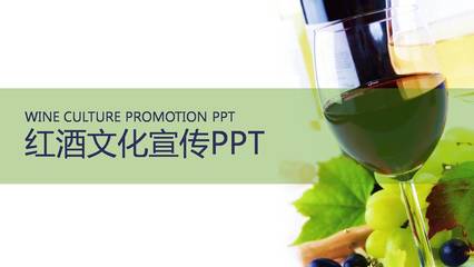 葡萄酒 酒销售 酒文化宣传PPT